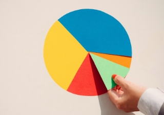 pie chart graph share