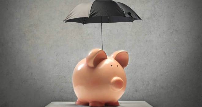 protection cover insurance pig umbrella savings